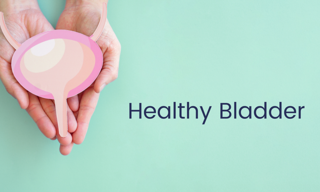 Pelvic Health And YOU Pelvic Health Newsletter #3 Bladder Health 2 7cf7c78 a50 28f5 662 3a52bf14dad ba908ba0 2941 4639 8388 6e9a848ab856