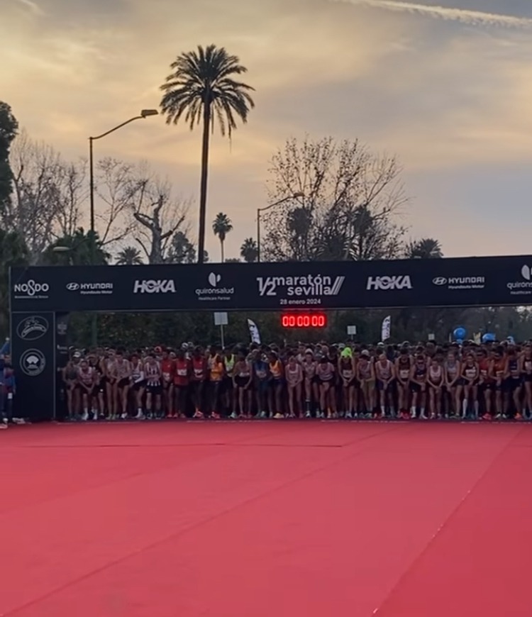 Seville Half Marathon 2024 Jenny's Race Report 2 7ff36c1 ef88 7673 33d6 b04c4eaa5827 IMG 8137