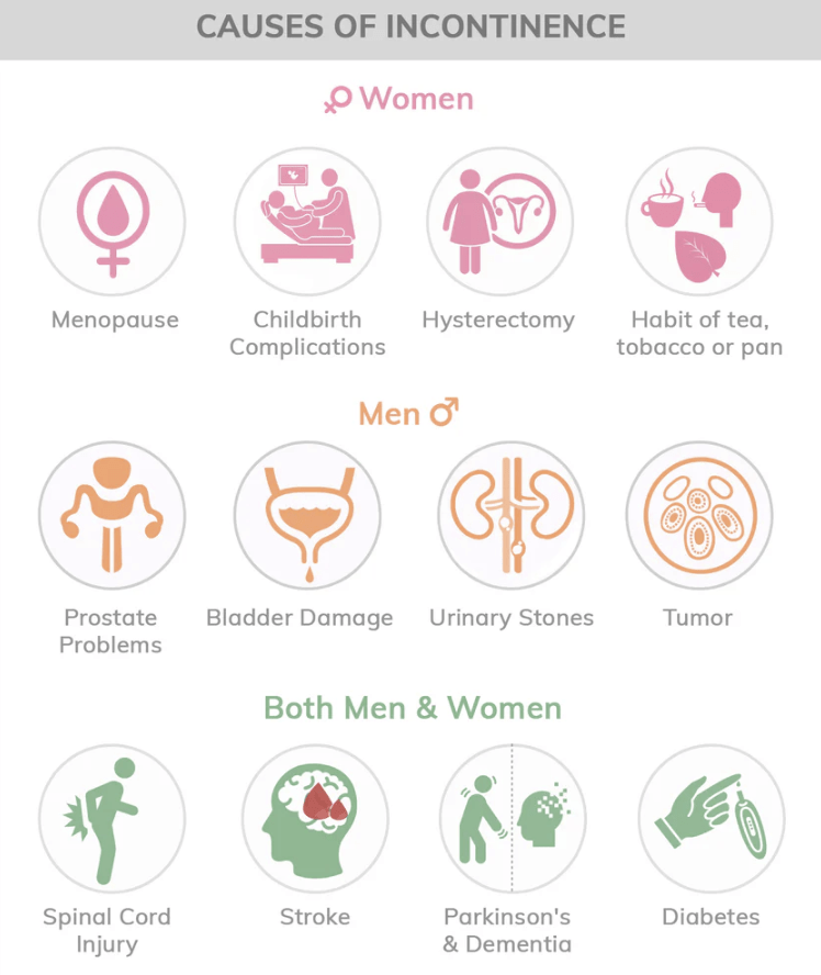 Pelvic Health And YOU Pelvic Health Newsletter #3 Bladder Health 4 ae63d82 675c 32fe 20bb de0208e16 Causes bladder leak