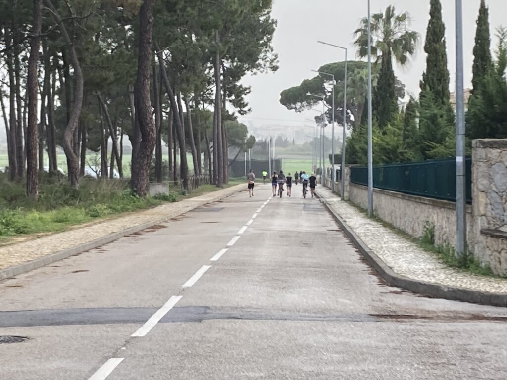 Thursday 15th February - A busy recovery day 2 c8af33a 20aa 46cd c06 cf28baef3de IMG 7684