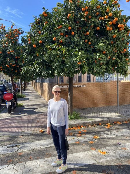 ed411e4 acd 48a1 b3dc 5d713ab401b image